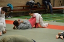 Ouder-Kind-Judo 2017_37