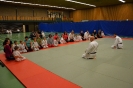 Ouder-Kind-Judo 2017_52