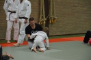 Ouder-kind judo 26-02-2016