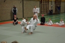 Ouder-kind judo_7