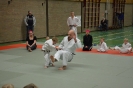 Ouder-kind judo 26-02-2016