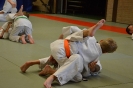 Samen trainen met Budo Ryu_12