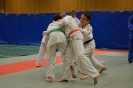 Samen trainen met Budo Ryu_2