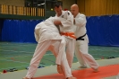 Samen trainen met Budo Ryu_3